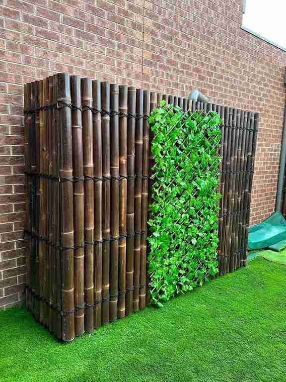 Bamboo Fence with Single Ivy Panel