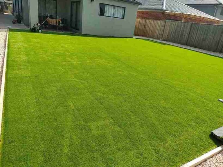 Freshly Laid Backyard Turf