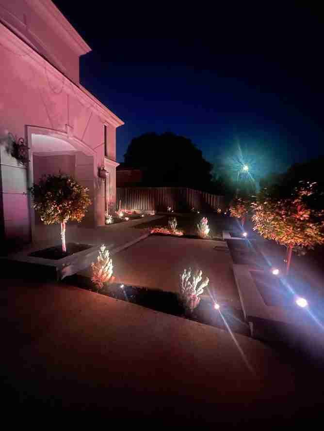 Pink-lit Garden Pathway