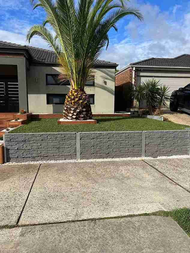 Stone Retaining Wall with Palm Tree